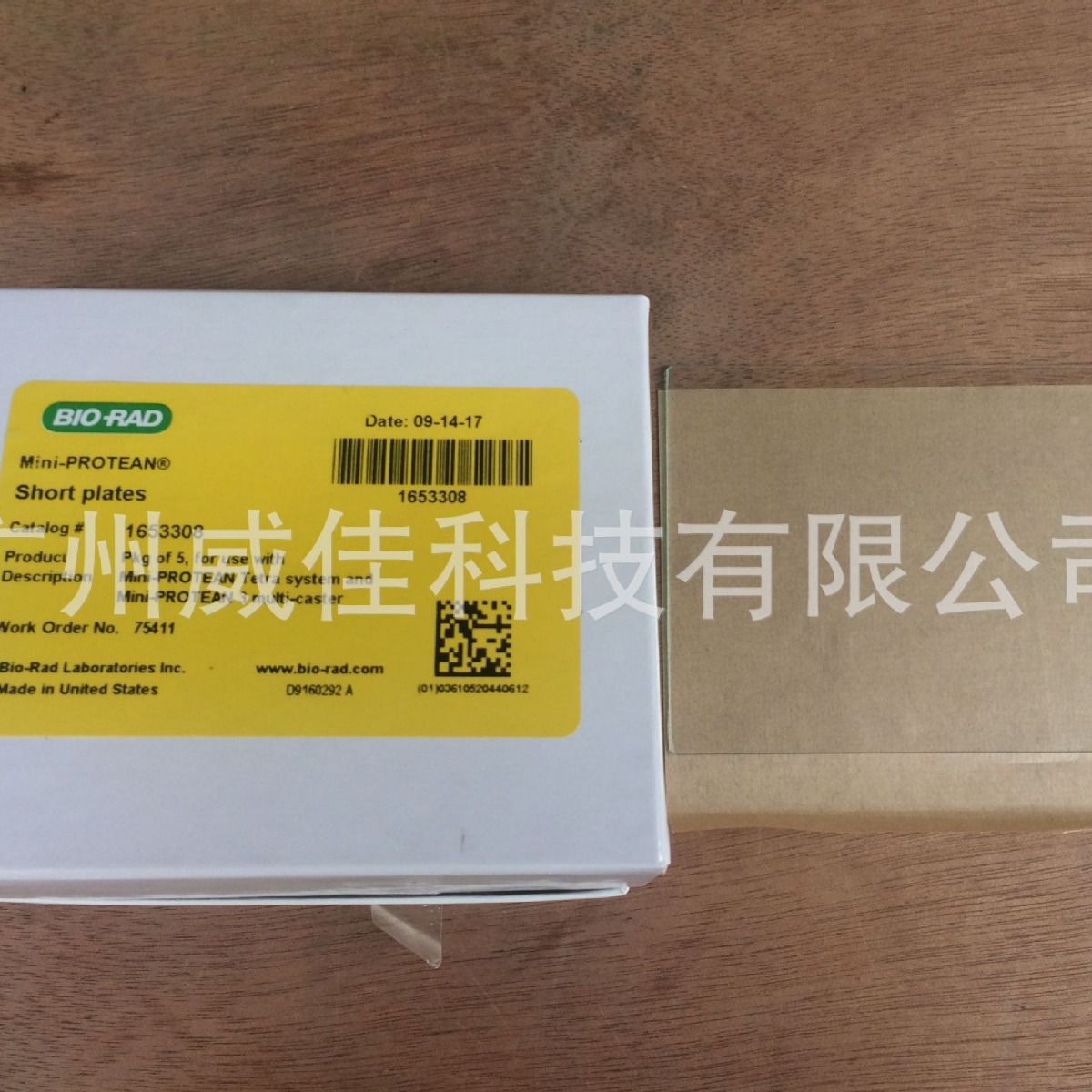 Bio-rad 伯乐 玻璃板 短板1.0mm 货号1653308 电泳 5块/盒