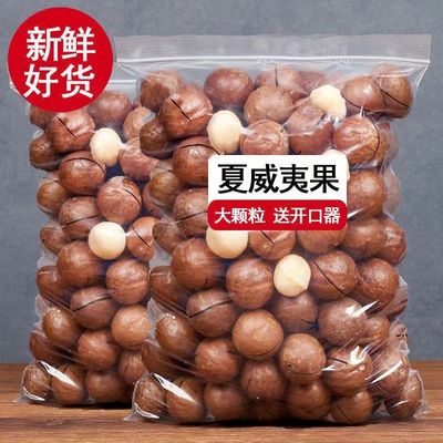 wholesale new goods Hawaii grain Creamy nut bulk specialty Bagged Net weight 250g/500g Plant