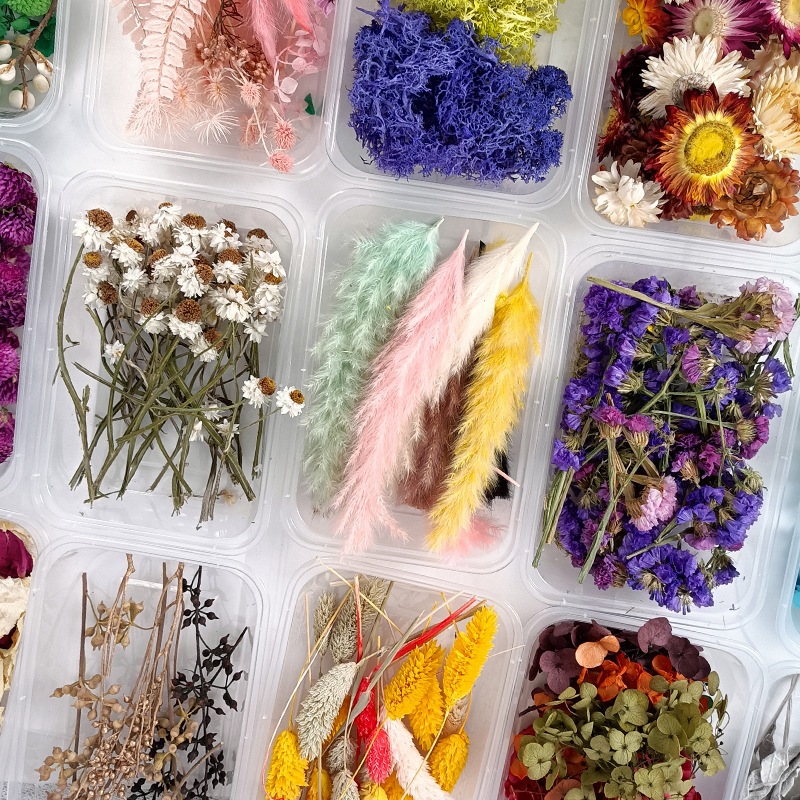 Handmade DIY Material Box, Preserved Flowers and Dried Flowers, Round Fan, Greeting Card, Epoxy, Natural Real Flowers, Direct Sale from Yunnan Manufacturer