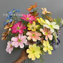 3D3�^��ɣ����˹�շ��滨��c�ý�����@�L���Ų廨�ٻ����Q�羳
