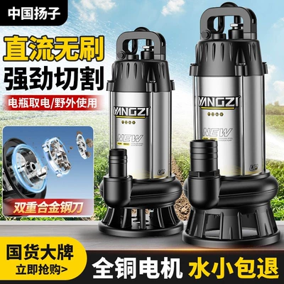 Yangzi Dc Submersible Sewage Water pump