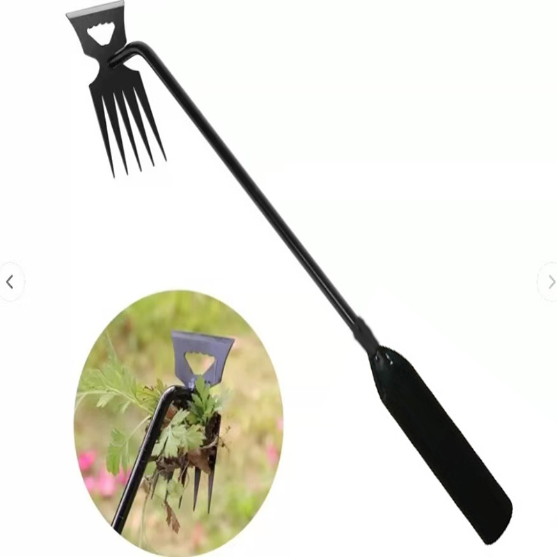 微信图片_20241022095457