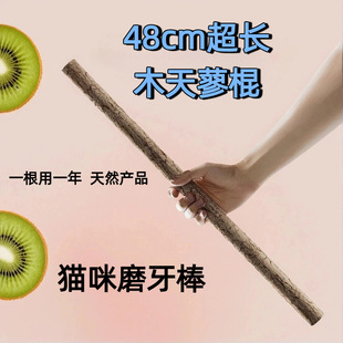 客厅防水贴纸