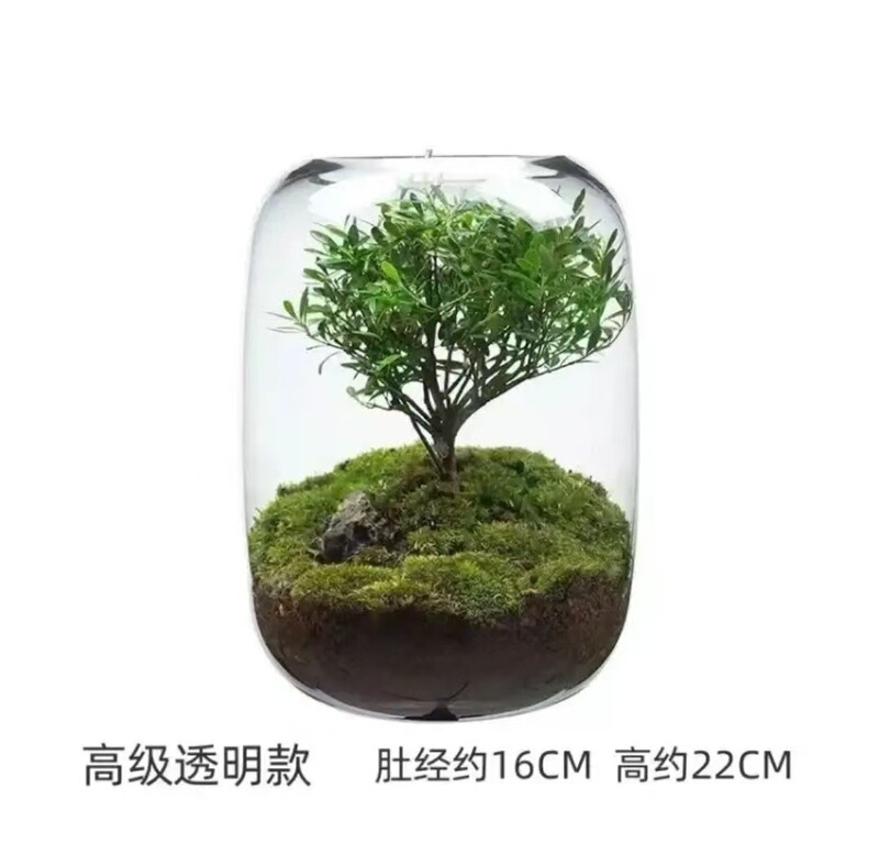 厂家直销生态水培植物瓶玻璃花瓶装饰微景观小鱼缸办公室桌面客厅|undefined