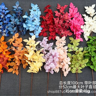 ���滨�Y�����B�~õ���~��Y�zӰ�߼��廨�쾰�S����ins�L�羳