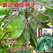 ߅üNӴ󌒱ⶹǷNѴٶYv߮͟a