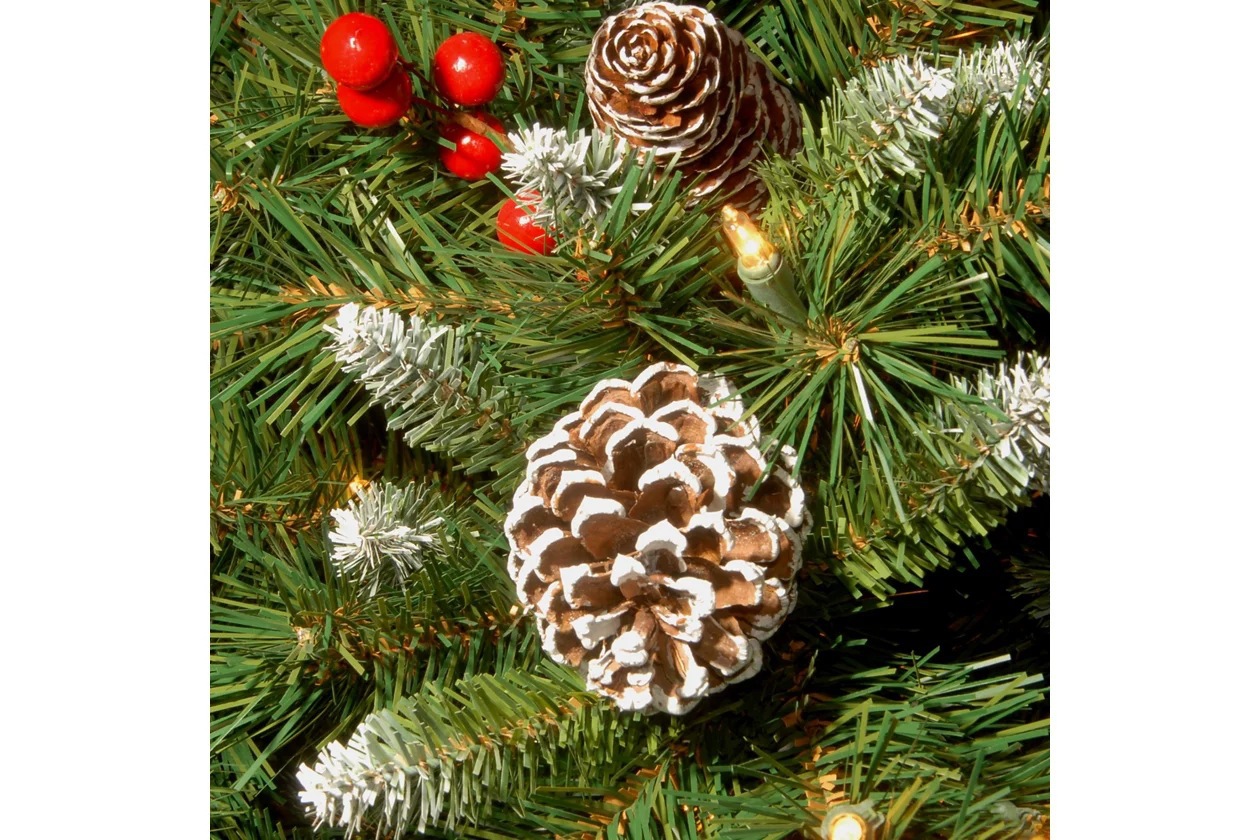 A600033573_4_$AFHS-PDP-Zoomed$