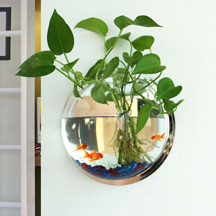 壁挂水培创意绿萝绿植花盆挂壁挂墙圆形装饰器皿贴墙花瓶大号简约