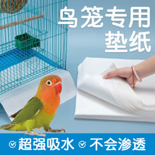 ����ĵ���B�S�|���|���бP�W�^���������PС̫�һ�����B�\ʺ��|