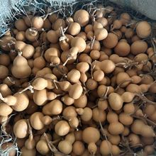 aع̎ 覴СJ JӮJغJ