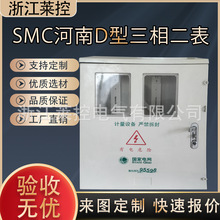 户外挂壁式河南D型三相二表玻璃钢电表箱 SMC材质非金属计量箱