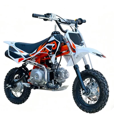 Competition Motorcycle, Motosikletlər