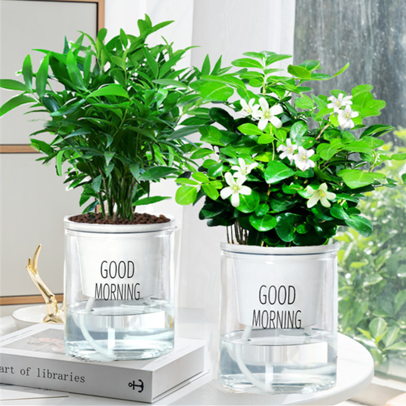 [모기퇴치 패키지] 모기퇴치대나무와 편백나무 + 모기퇴치 구리향(좋은아침대야) + 영양액