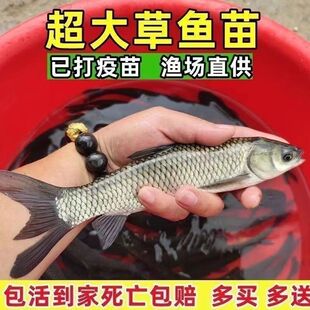 ����~�絭ˮ�Bֳ���~�����lʳ��С���~���~�ش�����~�Ĵ���~