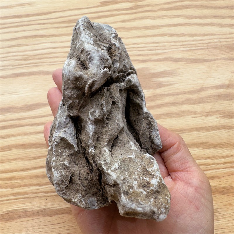 2c5462c135e162a3b20cb57421bd3f