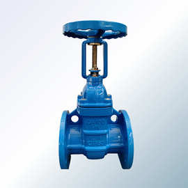 明杆铜芯防护闸阀 Z41T-16Q法兰铸铜芯