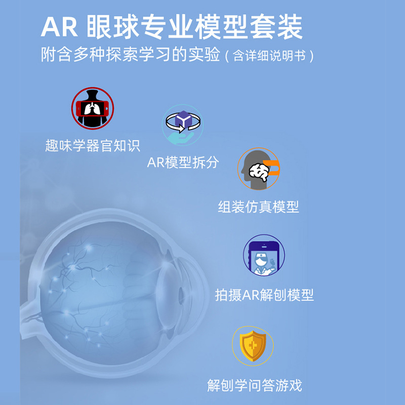 Yigao estudiante oftalmología experimento de lujo traje modelo de ciencia y educación para niños juguete estructura fisiológica modelo de ojo humano