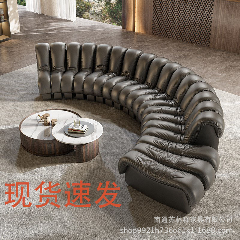 DeSede DS600中古极简蛇形沙发大小户型S形弧形别墅羽绒真皮沙发