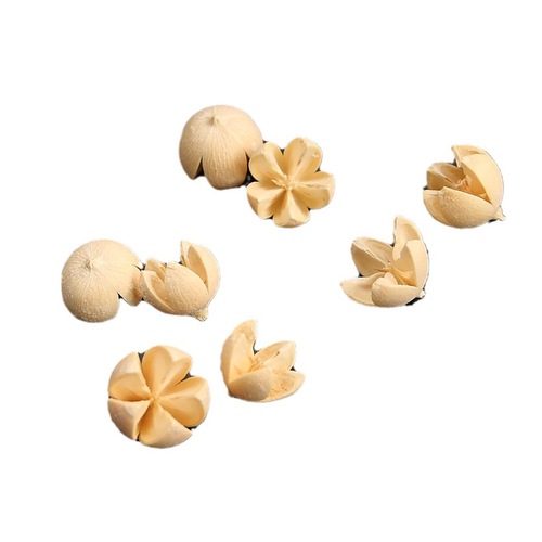 Everlasting float hanging garland making materials various dried fruits whitewashed pine cones Christmas decorations shooting props