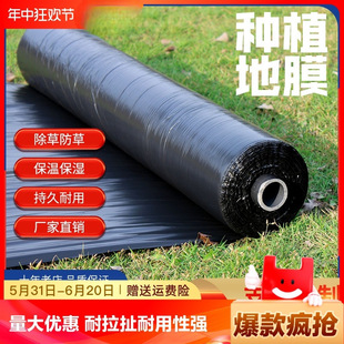Agricultural thickened greenhouse heat preservation and moisturizing black plastic film planting weeding and insect-proof film new material strawberry film 1 meter