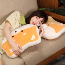 �ɐ۲�Ȯ������ͨë�q����k������˯ſ�����������|�S�ҬF؛�N��