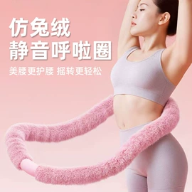 其他健身器材;健腹器;呼拉圈