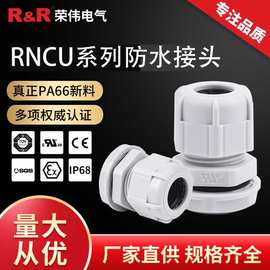 UL认证电缆防水接头 德制PG型尼龙密封电缆固定头塑料葛兰格兰头1