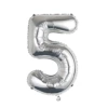 32 -inch beauty silver 5
