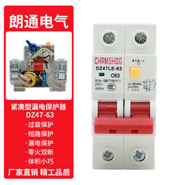 外贸RCBO小型漏电保护器开关2P两位漏保断路器DZ47LE总闸家用开关