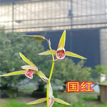 ���t�����m���罨�m�滨���Ե����ļ������ͻ������B�҃Ȼ��ܾGֲ