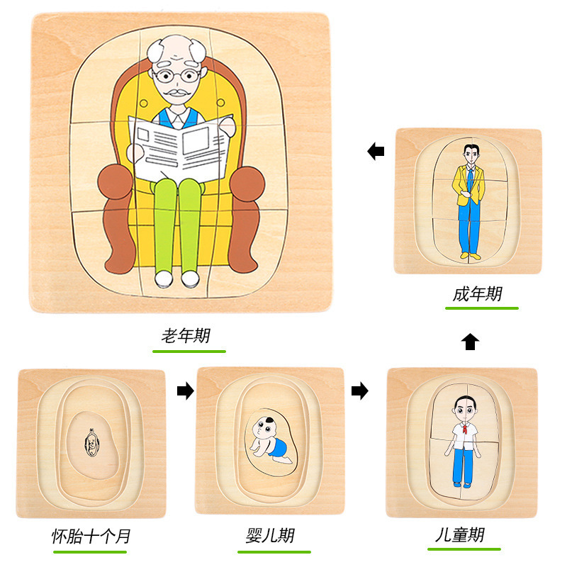 CPC de los niños de madera 3D animal digital tridimensional rompecabezas de crecimiento animal proceso de evolución rompecabezas juguetes de madera