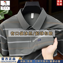 ��ľ�B�l�y���z���䷭�IPOLO����ʿ�ļ��̄����e������������T��