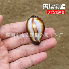 瑪瑙の宝螺の天然の小さい海螺の貝殻の希少な標本の水槽の造景の家のショーウインドーの装飾品の創意の贈り物