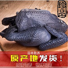 ɢ�B�����u�F�����r���u�r�Ҟ��uС���u���u���r��ĸ�u�ߵ��u��ֻ
