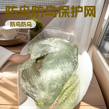 ���B�W�����W�̨���Ҙ����Ѵ����~������W�S�����l