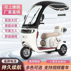 新型レジャー電動三輪車は一体棚車を持っています。