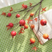 Ұ�ָ�֦ʯ����滨�S�Ҽٻ��Gֲ�����l�b羳��ˇƷMW25351