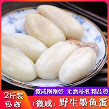 宁波大墨鱼蛋野生大白蛋乌鱼蛋乌贼蛋微咸新鲜目鱼蛋