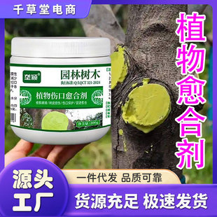 ���羳���ŷfֲ���ľ����������τ��辰��֦��֦�޽��п��ޏ͸�