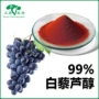 反式resveratrol虎杖葡萄皮提取物