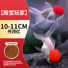 ��ˮ�^�p�~�{���^���~���B�ͻˮ����С���~�猙���~�~