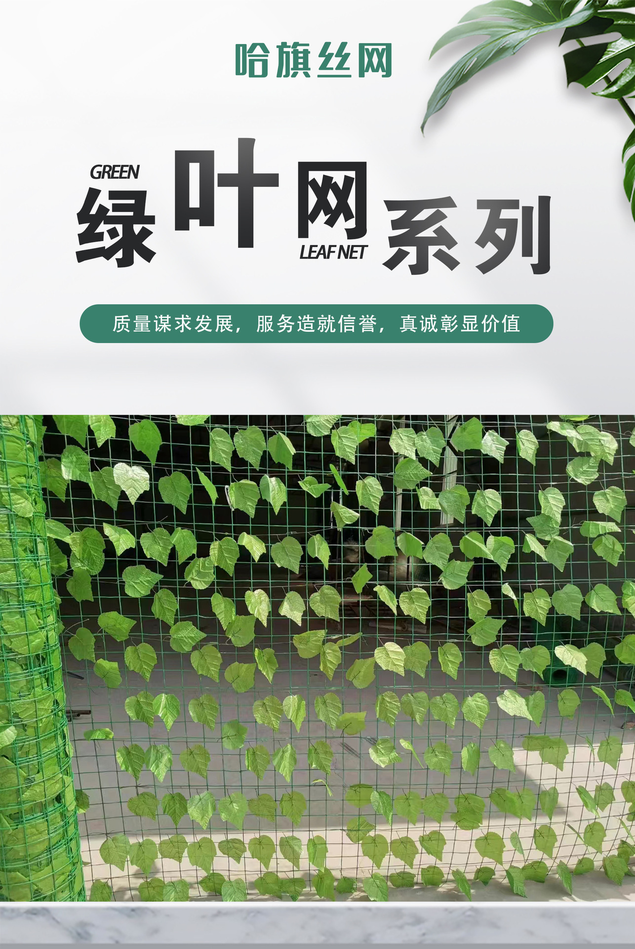绿叶网_01.jpg