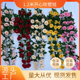 ���滨�ٗl朗l1.2�ױڒ�W˹���_��õ���÷�Ҿ�ܛ�b�Ƶ�͏d