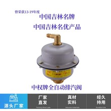 空调立式自动排气阀顶针式密封别墅暖气片自动放气阀门水暖配件