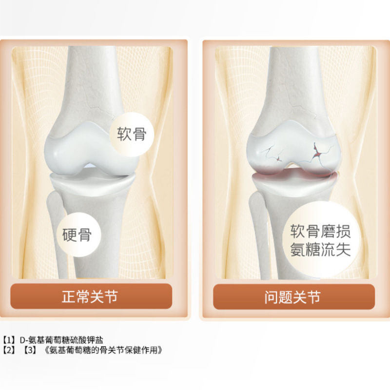北京同仁堂内廷では邦康牌アンモニア軟骨素片40gを使って骨密度を増強して吸収しやすいです。|undefined