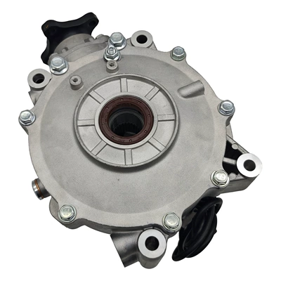 Motorcycle engine and accessories differential is