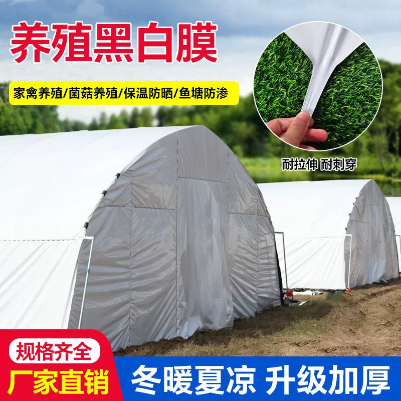 Утолщенная черно-белая пленка против старения, непромокаемая и солнцезащитная черно-белая пленка для разведения в теплице, утолщенная зеленая пленка для хранения, зелено-белая пленка для съедобных грибов.