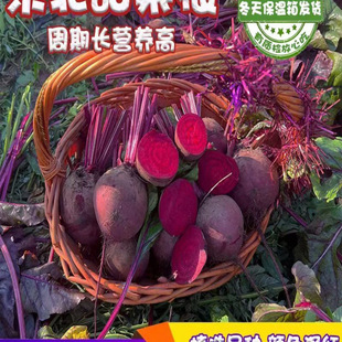 ���o����ζ���|����˸����r�t������^�t���^�ϲ��^�r�ґ����߲�