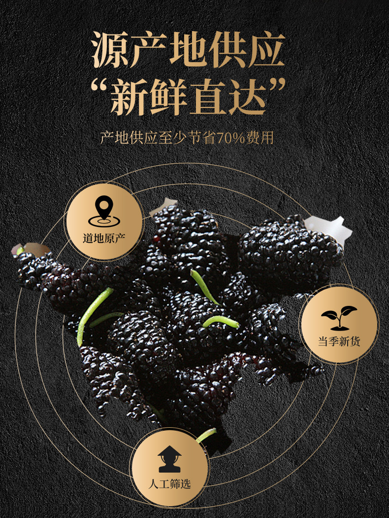 Dried Mulberry Fruit Sang Shen Zi 100g Xinjiang Black Mulberries for Tea and Snacking quality and texture