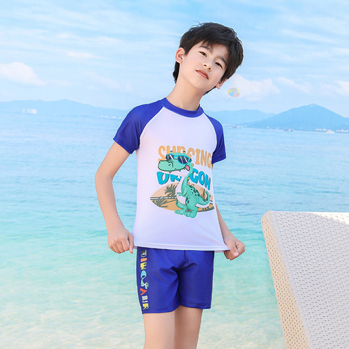 Children's swimsuit summer boys fashion cartoon split medium and large children training quick-drying boy professional swimming suit
